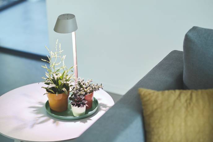 plant light care 11cm glacier grey